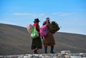 Aquia community in Peru, during a reforestation event in December 2024.