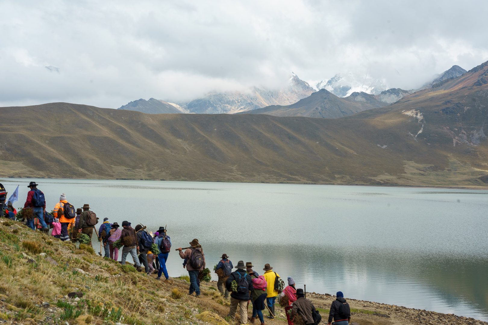 Community members in Aquia, Peru, planting trees in December 2024. Photo by ECOAN.