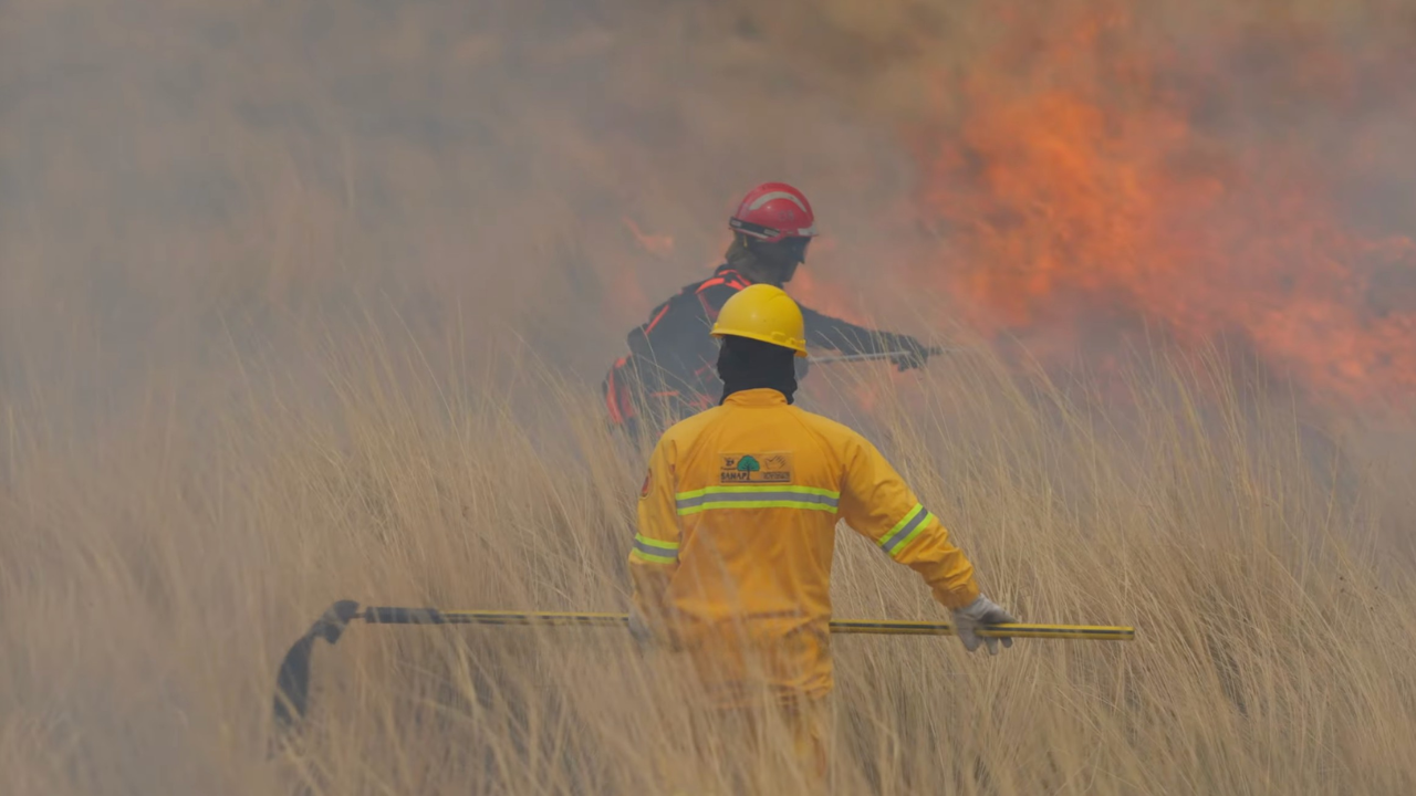 Two firefighters in yellow and red protective gear work through tall dry grass as flames rise in the background, one holding a hand tool.
