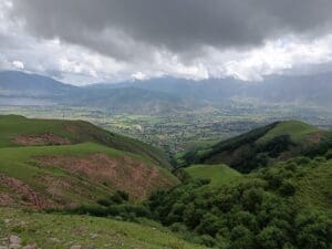 Mountain landscape where Polylepis specimens grow.