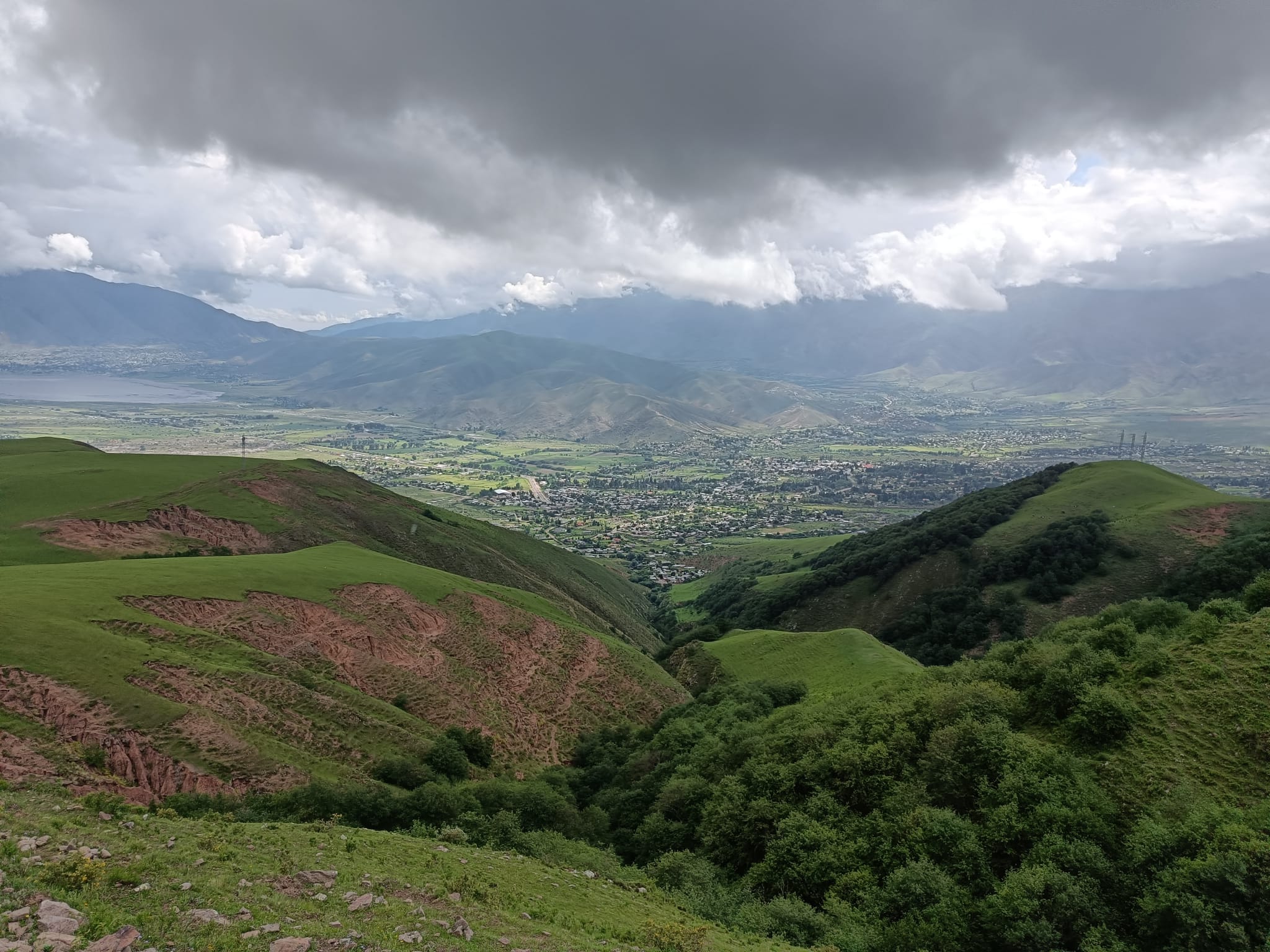 Mountain landscape where Polylepis specimens grow.